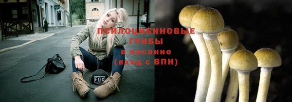 крисы Заводоуковск
