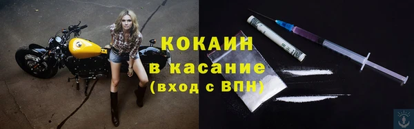 крисы Заводоуковск