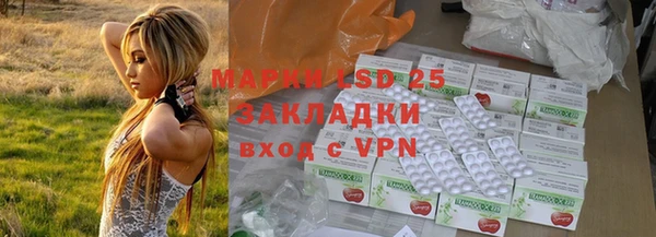 крисы Заводоуковск